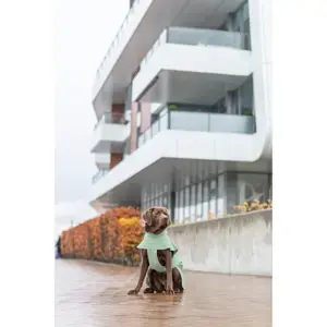 Trixie Vattentät hundpäls CityStyle Dublin Populär