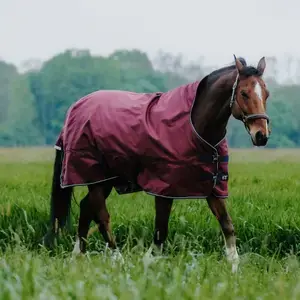 Equithème Hästtäcke för utomhusbruk Tyrex 1200D 300g High Neck Köp nu