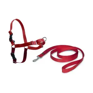 PetSafe Hundsele Easy Walk Köp online