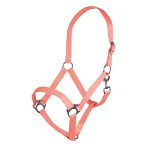 Begränsat antal HKM Halster för häst Stars Economy
