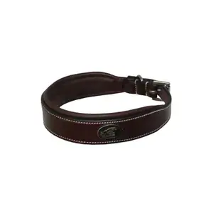 Expressleverans Jump‘In Hundhalsband