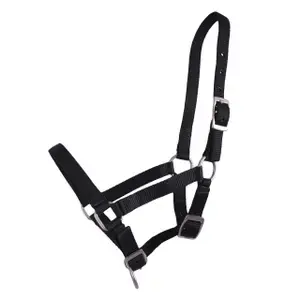 Q-essentials Halter för föl Premium