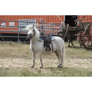 Westride Quiltad westernmatta för hästar Navajo [Taille Shetland] Snabb frakt