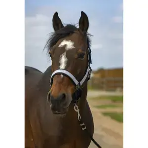 Reapris Equithème Nylon check hästgrimma