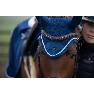 Sänkt pris HFI Pannband för häst Padded Wave + Strass