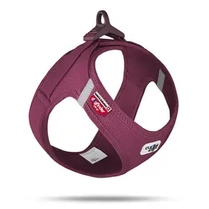 Curli Hundsele Air-Mesh Populär