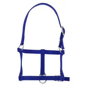 Riding World Halter för föl prisnedsättning