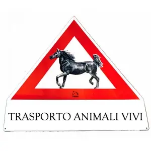 Kundfavorit Tattini Transportpanelen