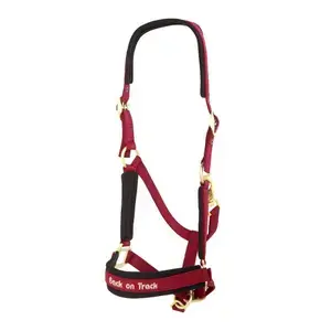 Back on Track Licol werano Handla nu