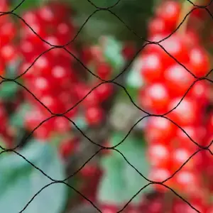 Sista chansen Nature Nät mot fåglar Primo