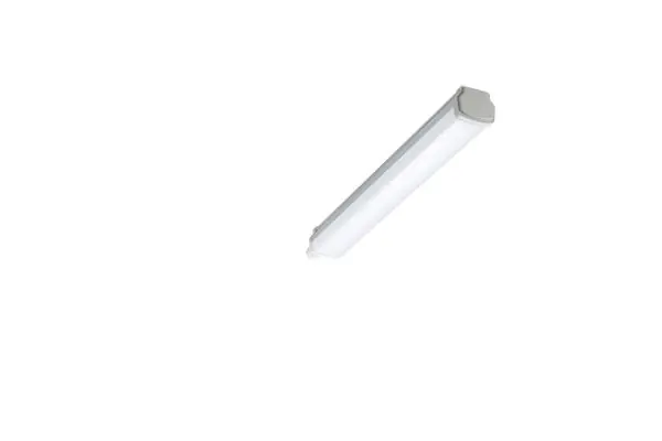 Philips Ledinaire WT060C, LED, 4000 K, 1800 LM, IP66, Grå, Vit Begränsad tid
